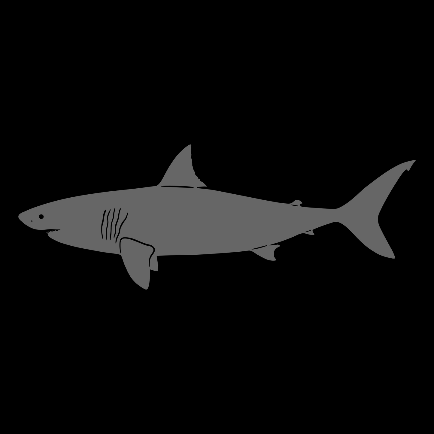 Great White Shark Vinyl Decal Design Silver Grey Left Facing