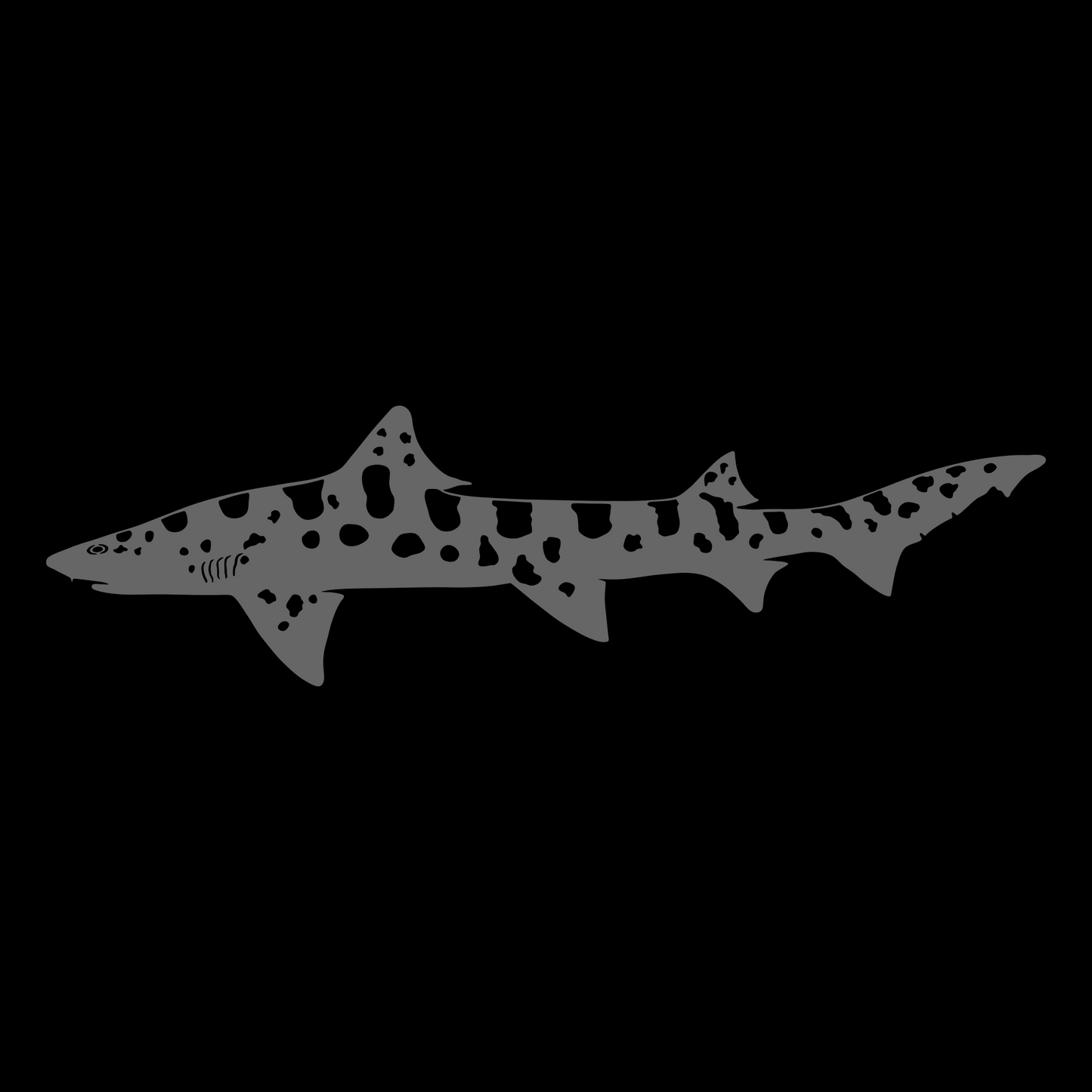 A detailed vinyl decal featuring a leopard shark silhouette, showcasing its distinctive spotted pattern. Premium outdoor vinyl. Made in the USA.
