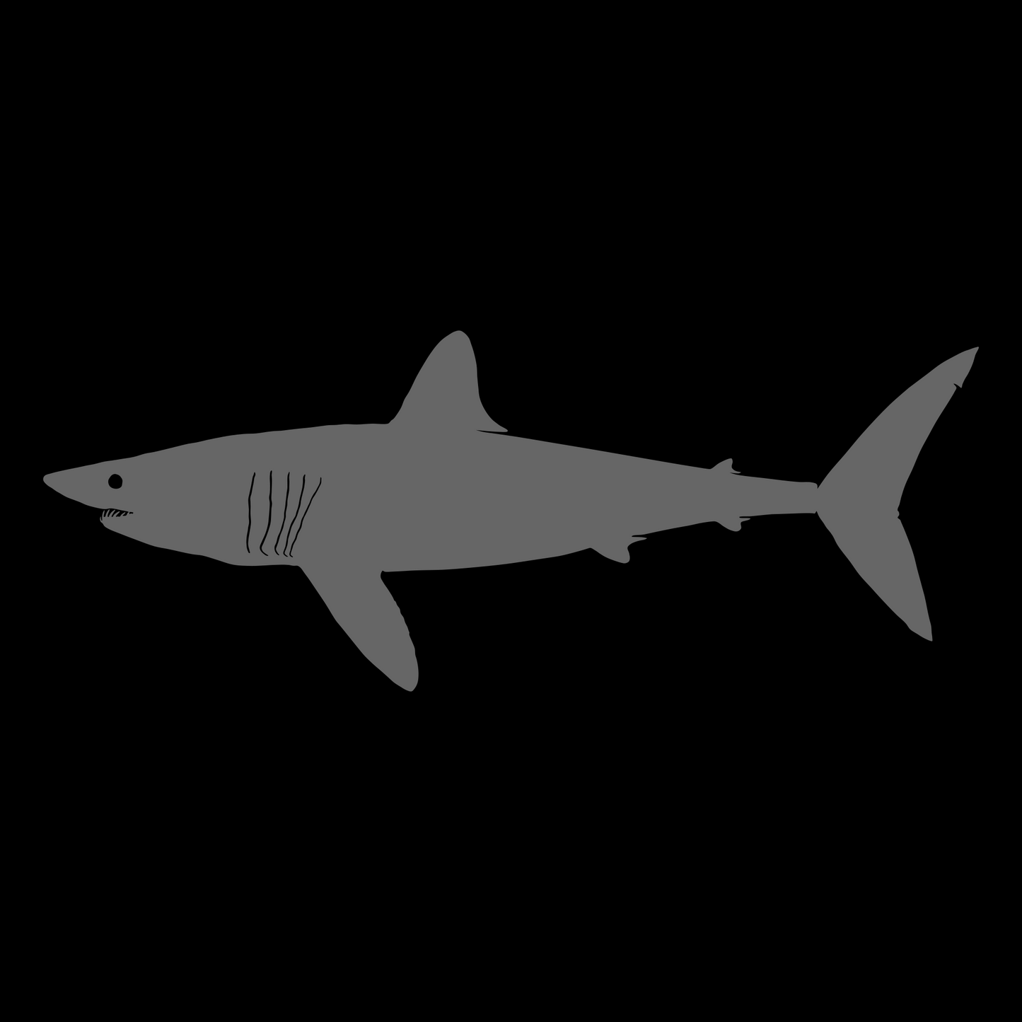 Shortfin Mako Shark Vinyl Decal Design Silver Grey Left Facing