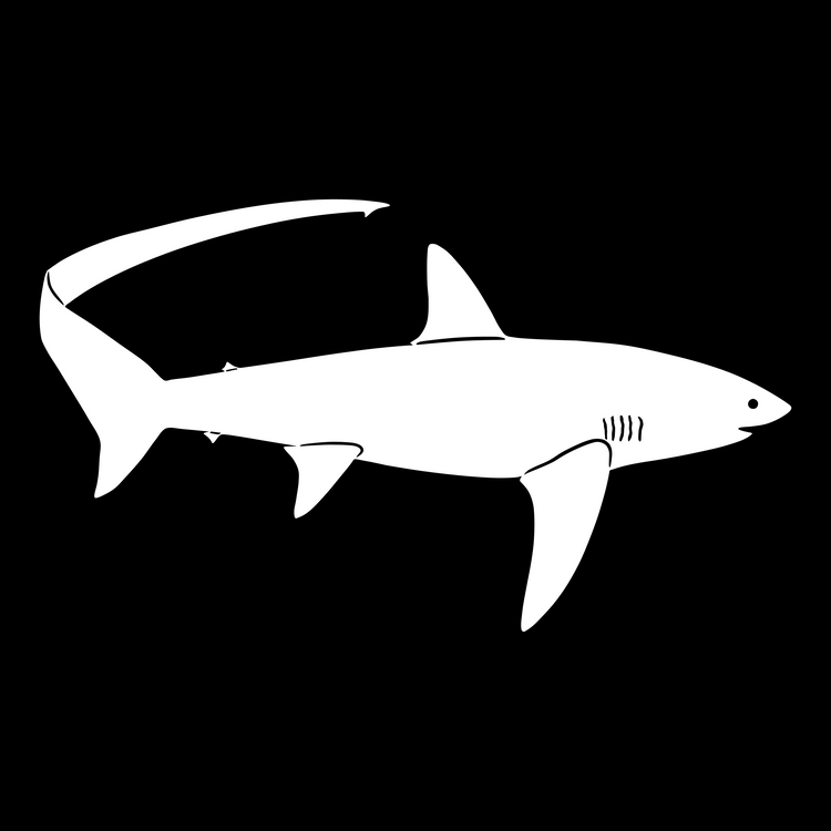 Shark Silhouettes