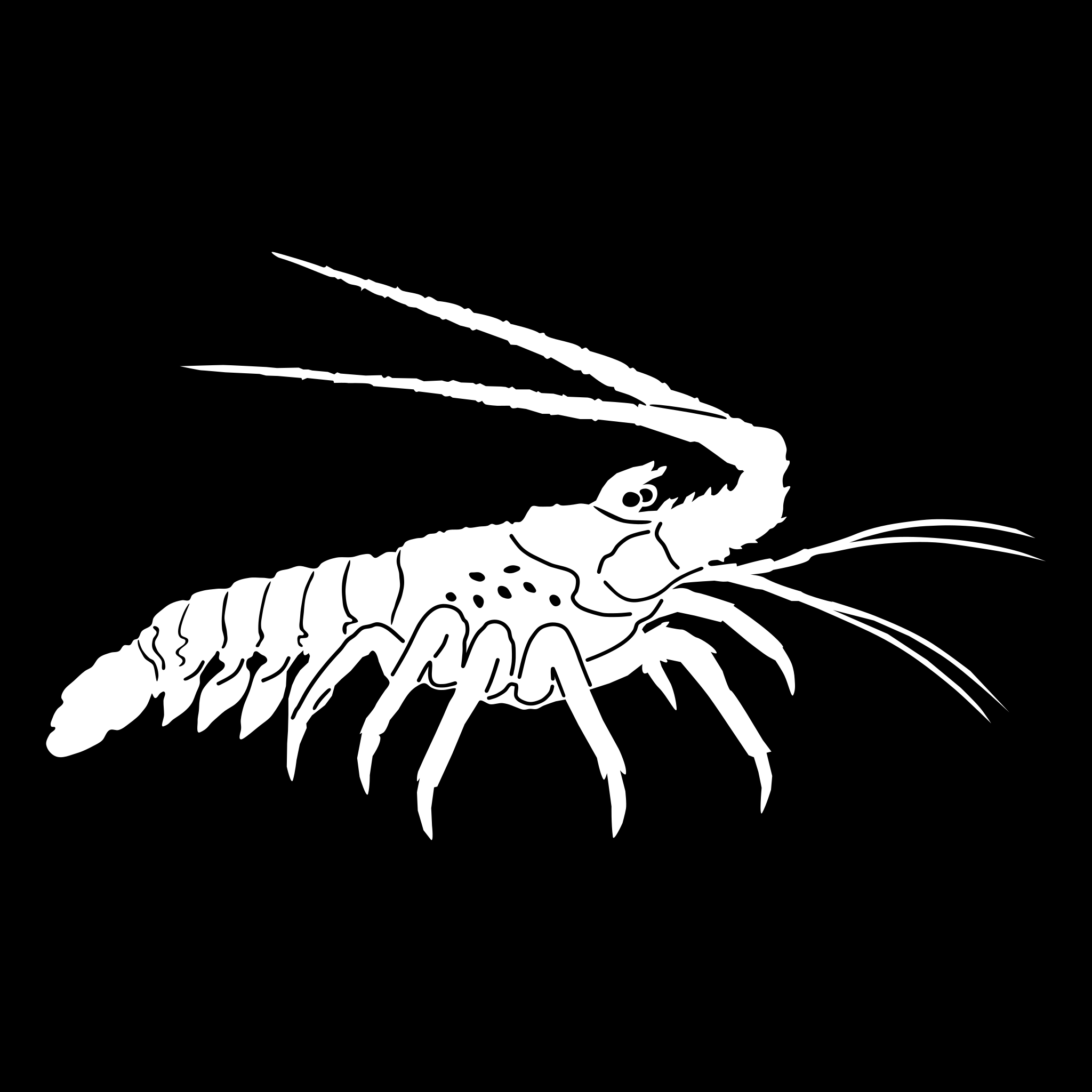Spiny Lobster Vinyl Decal Design White Right Facing