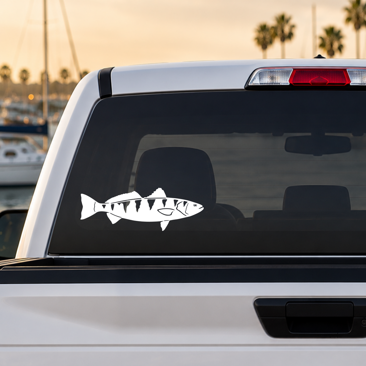 White White Sea Bass detailed silhouette vinyl decal applied to a truck rear window. Original Keeper Designs artwork. Made in the USA.
